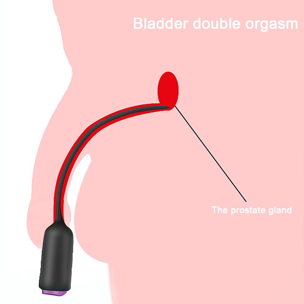 Masturbators ไข่สำหรับชาย Urethral เสียง Vibrators Masturbation ชายเครื่องมือ Catheter Urethra Dilator ม้า Sticks ของเล่น